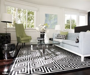 white romans  black and white rug